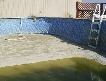 above ground pool is a swamp