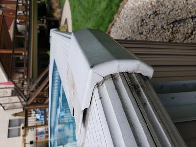 Ester Williams Rails and Cap