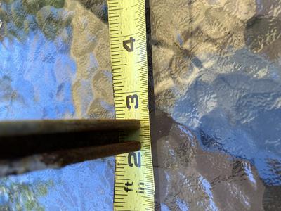 Need 2 female and 2 male