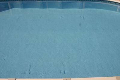 Oval Pool Problem