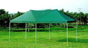 The Party Tent