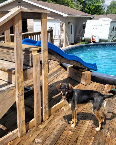 above ground pool slide