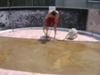 Removing Rainwater From Pool Base