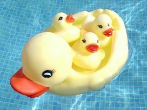 floating ducks in store display pool
