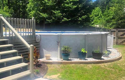 Container Plants Around Pool