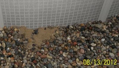 Sand Seeping From Under Pool
